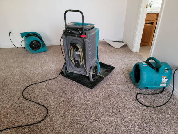 Best Local water damage restoration  in St Peter, MN