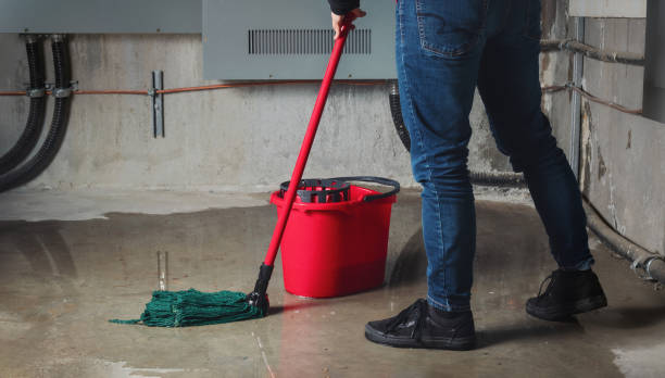Best Emergency water damage restoration  in St Peter, MN