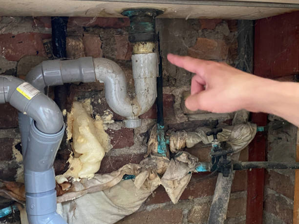 Best Water damage restoration cost  in St Peter, MN